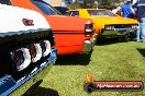 All FORD day Geelong VIC 15 02 2015 - Geelong_All_Ford_Day_0115