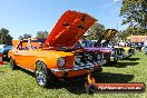 All FORD day Geelong VIC 15 02 2015 - Geelong_All_Ford_Day_0155