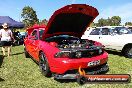 All FORD day Geelong VIC 15 02 2015 - Geelong_All_Ford_Day_0200
