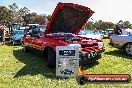 All FORD day Geelong VIC 15 02 2015 - Geelong_All_Ford_Day_0207