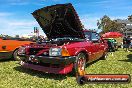 All FORD day Geelong VIC 15 02 2015 - Geelong_All_Ford_Day_0210