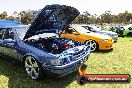 All FORD day Geelong VIC 15 02 2015 - Geelong_All_Ford_Day_0274
