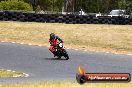 Champions Ride Day Broadford 1 of 2 parts 01 02 2015 - CR2_3052