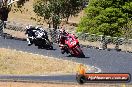 Champions Ride Day Broadford 1 of 2 parts 15 02 2015 - CR3_2399