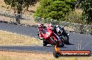 Champions Ride Day Broadford 1 of 2 parts 15 02 2015 - CR3_2403