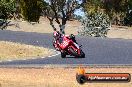 Champions Ride Day Broadford 1 of 2 parts 15 02 2015 - CR3_2479