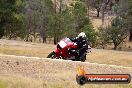 Champions Ride Day Broadford 2 of 2 parts 01 02 2015 - CR2_4465