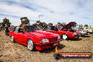 All Holden Day Geelong VIC 14 03 2015 - Holden_Day_Geelong_-_14_03_2015_-_0225