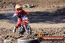 Champions Ride Day MotorX Broadford 22 03 2015 - CR6_2429