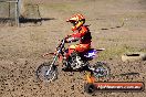 Champions Ride Day MotorX Broadford 22 03 2015 - CR6_2519