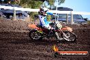 Champions Ride Day MotoX Wonthaggi VIC 12 04 2015 - CR8_1145