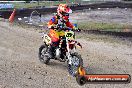 Champions Ride Day MotoX Wonthaggi VIC 12 04 2015 - CR7_8056