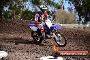 Champions Ride Day MotoX Wonthaggi VIC 12 04 2015 - CR7_8608