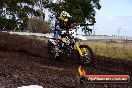 Champions Ride Day MotoX Wonthaggi VIC 12 04 2015 - CR7_8884