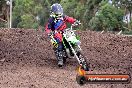 Champions Ride Day MotoX Wonthaggi VIC 12 04 2015 - CR7_9310