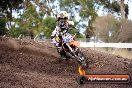 Champions Ride Day MotoX Wonthaggi VIC 12 04 2015 - CR7_9498