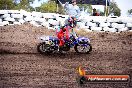 Champions Ride Day MotoX Wonthaggi VIC 12 04 2015 - CR8_0230