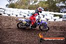 Champions Ride Day MotoX Wonthaggi VIC 12 04 2015 - CR8_0232