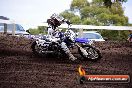 Champions Ride Day MotoX Wonthaggi VIC 12 04 2015 - CR8_0242