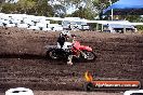 Champions Ride Day MotoX Wonthaggi VIC 12 04 2015 - CR8_0450