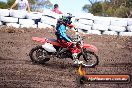 Champions Ride Day MotoX Wonthaggi VIC 12 04 2015 - CR8_0963