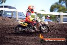 Champions Ride Day MotoX Wonthaggi VIC 12 04 2015 - CR8_1069