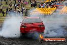 Good Fryday Burnouts 2015 Sydney Dragway - 20150403-JC-SD-GoodFryday-1072