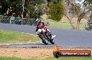 Champions Ride Day Broadford 30 05 2015 - SH0_6452