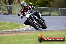 Champions Ride Day Broadford 05 07 2015 - SH1_9694