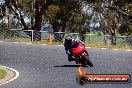 Champions Ride Day Broadford 25 09 2015 - SH5_2475