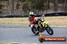 Champions Ride Day Broadford 1 of 2 parts 02 11 2015 - CRB_4610