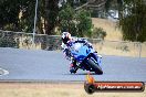 Champions Ride Day Broadford 1 of 2 parts 02 11 2015 - CRB_5050