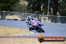 Champions Ride Day Broadford 1 of 2 parts 02 11 2015 - CRB_5175