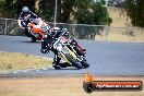 Champions Ride Day Broadford 1 of 2 parts 02 11 2015 - CRB_5577