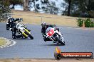 Champions Ride Day Broadford 1 of 2 parts 02 11 2015 - CRB_5657