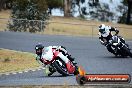 Champions Ride Day Broadford 1 of 2 parts 02 11 2015 - CRB_5924