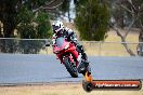 Champions Ride Day Broadford 2 of 2 parts 02 11 2015 - CRB_6559