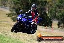 Champions Ride Day Broadford 2 of 2 parts 14 11 2015 - 1CR_7315