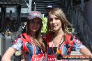 Clipsal 500 Models & People - IMG_1336