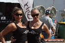 Clipsal 500 Models & People - IMG_1894