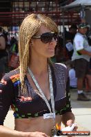 Clipsal 500 Models & People - IMG_2119