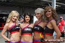 Clipsal 500 Models & People - IMG_2733