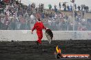 Supernats 15 Oran Park Part 3 - 20091108-Supernats15_3501